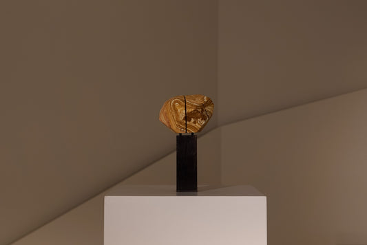 ROSA INDIA. By Pablo Zuriarrain, 2023