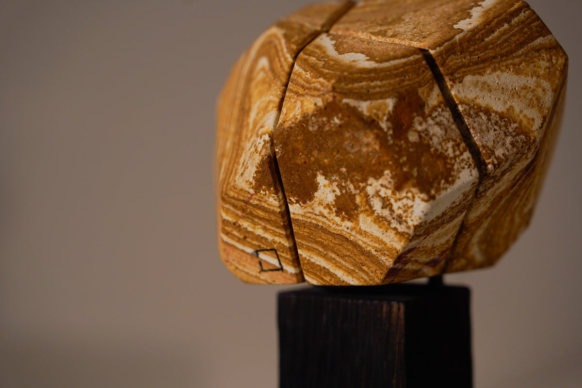 ROSA INDIA. By Pablo Zuriarrain, 2023