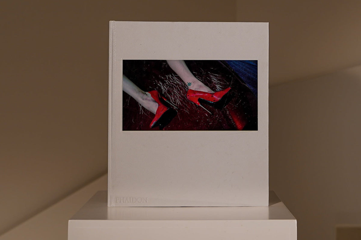 STEVEN KLEIN. La línea entre la ficción y la realidad